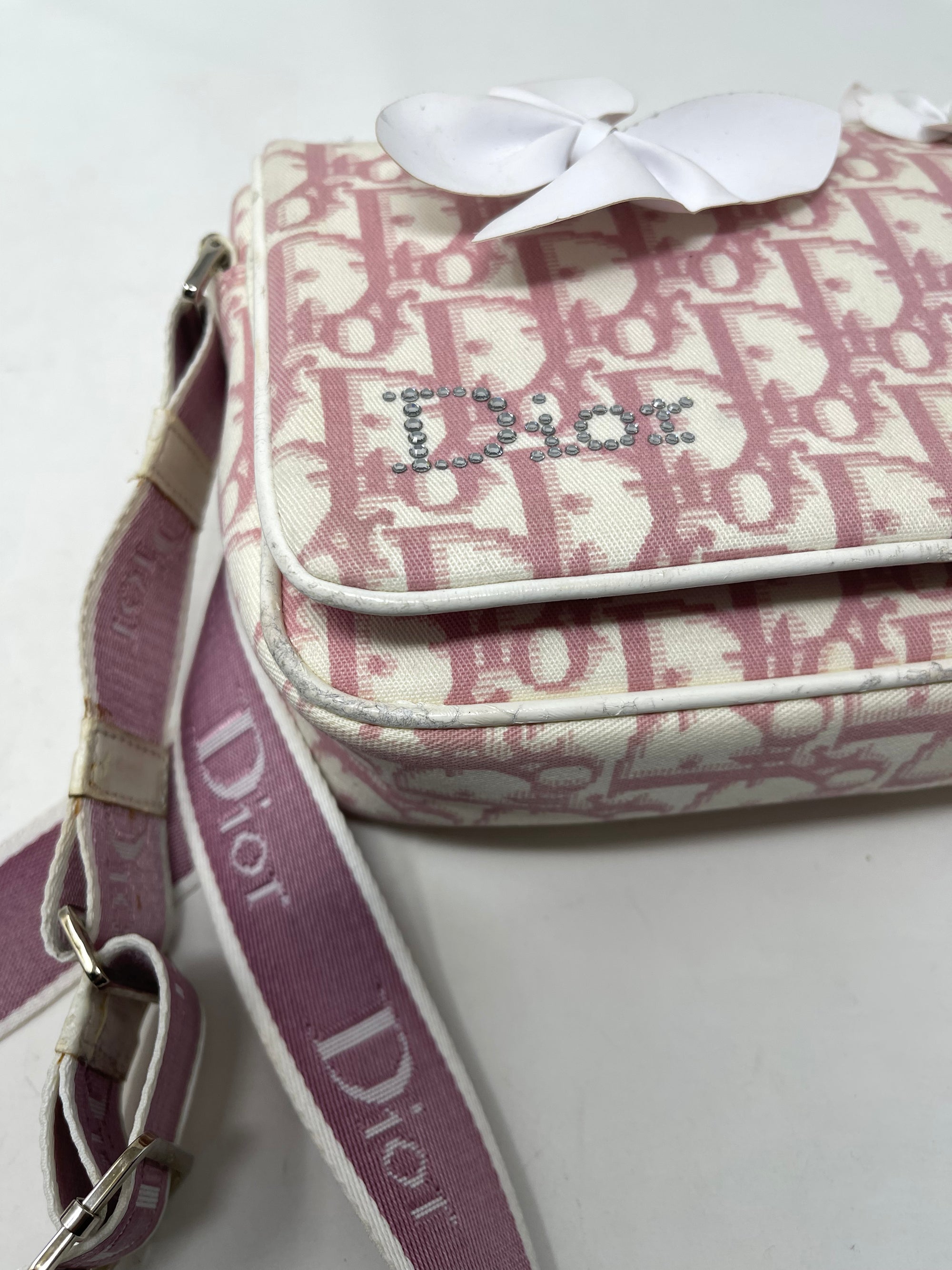 Christian Dior Pink Floral Trotter Oblique Crossbody Bag!