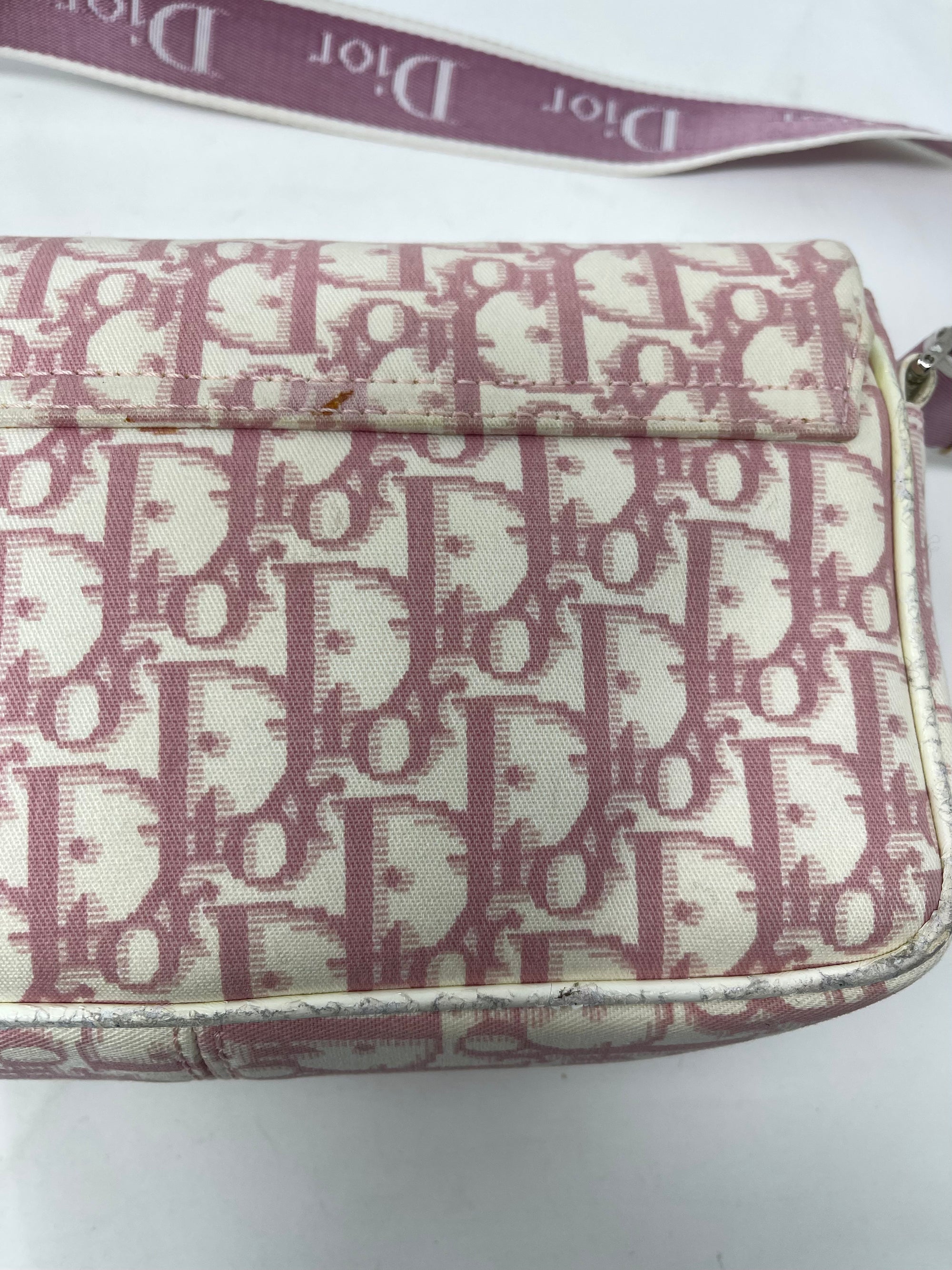 Christian Dior Pink Floral Trotter Oblique Crossbody Bag!