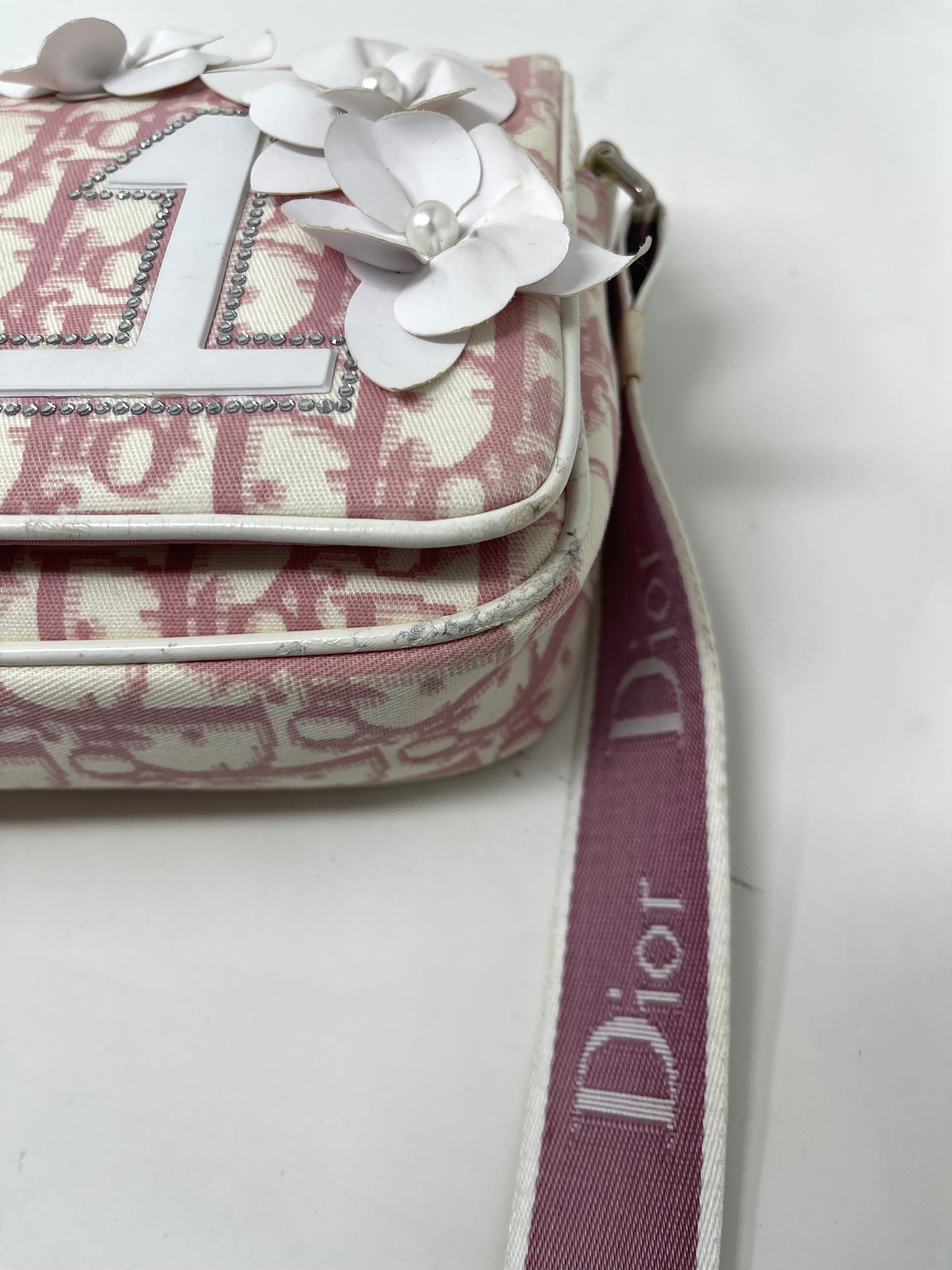 Christian Dior Pink Floral Trotter Oblique Crossbody Bag New