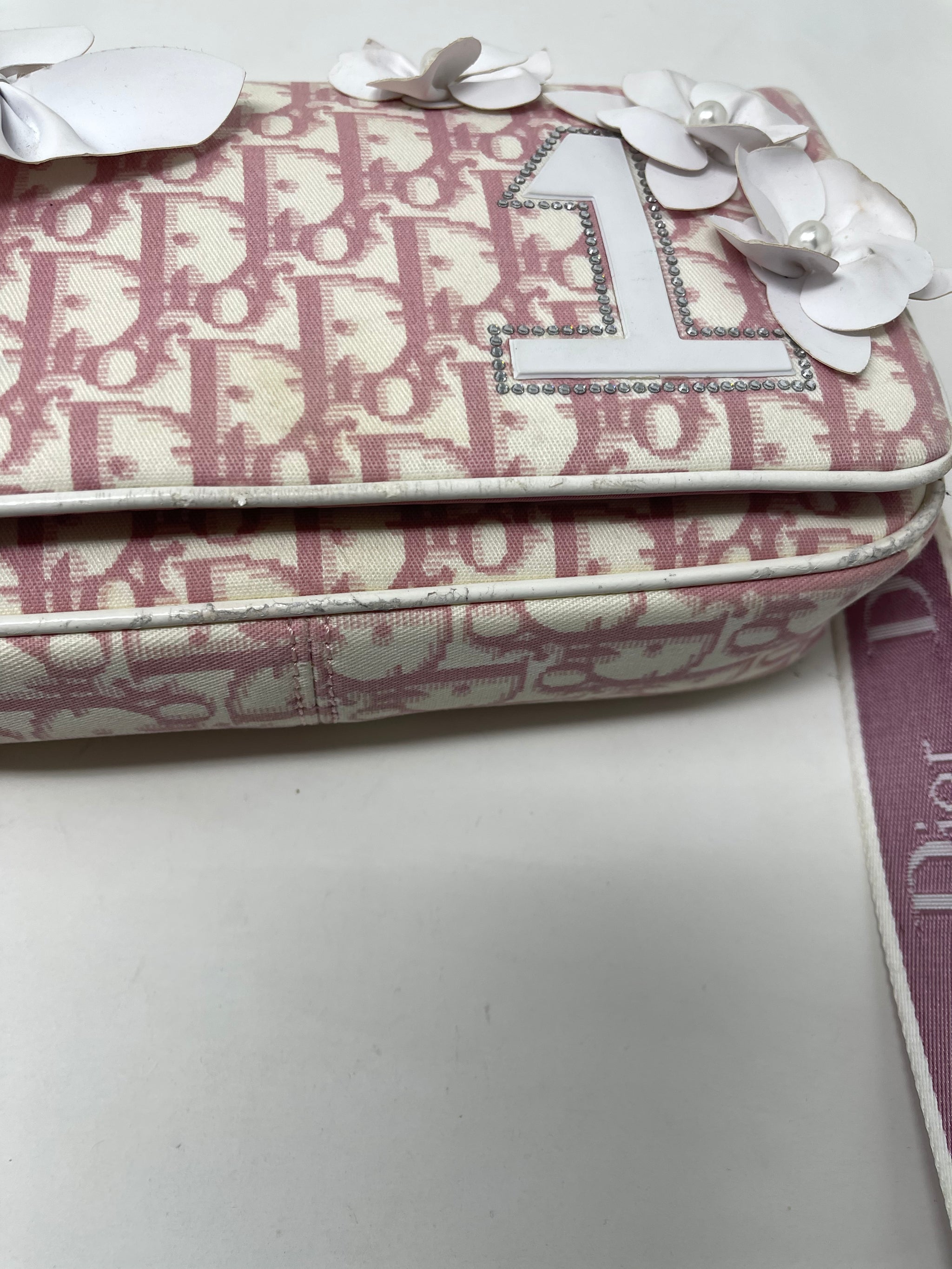 Christian Dior Pink Floral Trotter Oblique Crossbody Bag! - New Neu Glamour